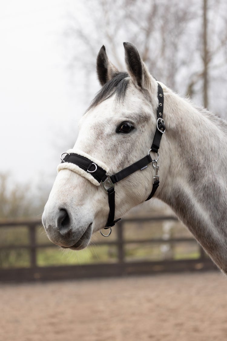 Hy Equestrian Fleece Lined Lunge Cavesson image 2